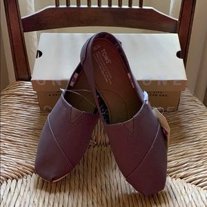 NWT TOMS Classic Ash Canvas, 10